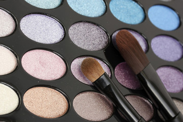 shadow kit with brushes for make-up