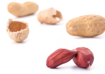Peanuts isolated on white background