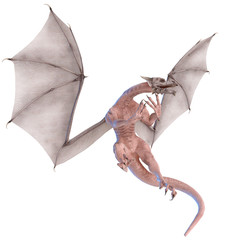 white dragon dodge 2