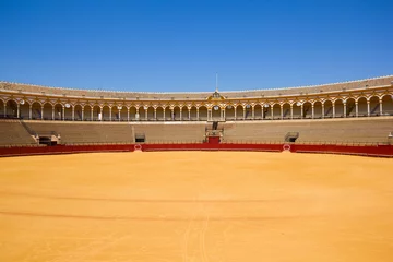 Foto op Aluminium bullfight arena,  Sevilla, Spain © neirfy