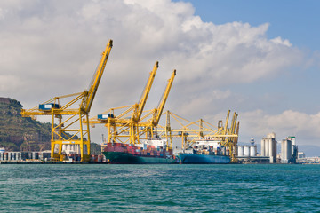 Cargo Cranes in Industrial Port