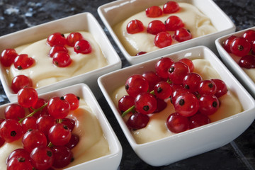 Johannisbeeren & Vanillepudding