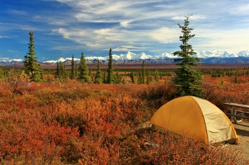 Camping im Denali-Nationalpark mit Blick auf Mt. Mckinley