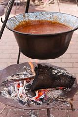 Kesselgulasch, Goulash