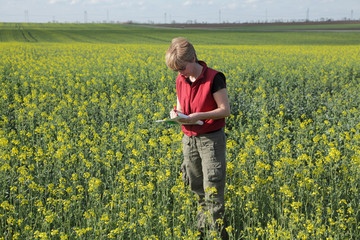 Agronomist examine rapeseed field