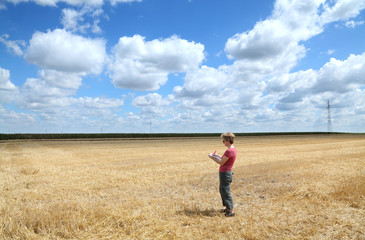 Agronomy expert examine wheat field after harvest