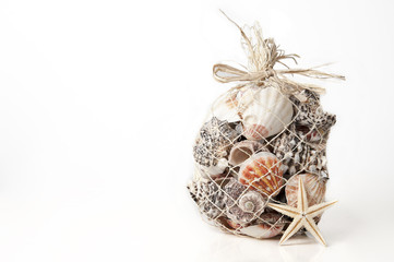 Muschelnetz