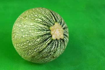 Zucchini Satelite