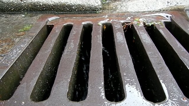 Regenwassser l&auml;uft in einen Gully