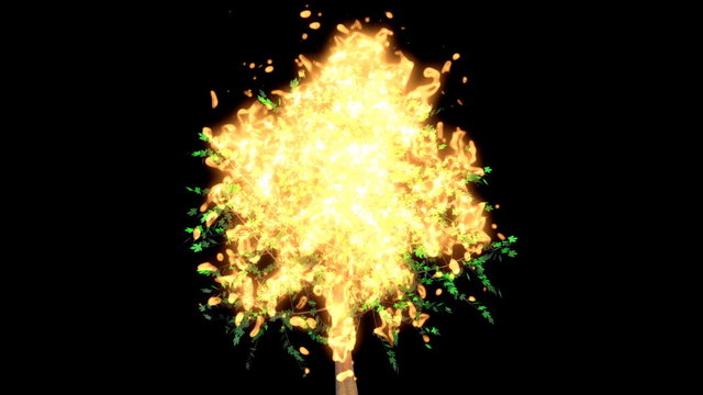 A bush or tree which bursts into flames.