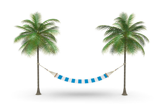 Two palm and hammock