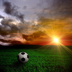 ball on the field
