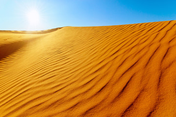 beautiful view of Sahara desert  in the sunlight  in Africa 