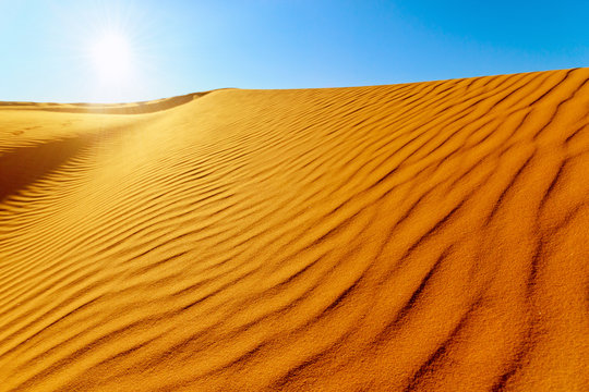 beautiful view of Sahara desert  in the sunlight  in Africa 
