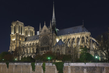 Fototapeta premium Notre dame of Paris at night