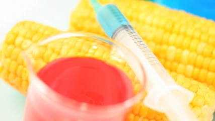 Sweet corn being placed under a syringe - Powered by Adobe