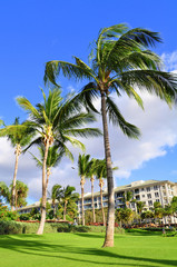 View of a luxury hotel, Kaanapali, Maui, Hawaii