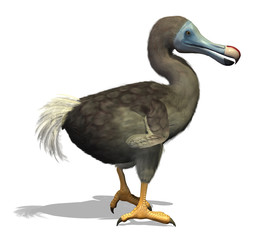 Dodo Bird © AlienCat