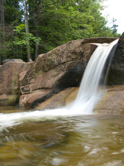 Fototapeta premium Waterfall And Forest Pool