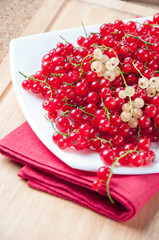 Still life series: red currant, vertical shot