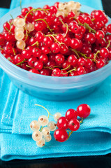 Ripe currant, studio shot