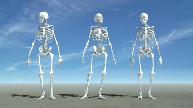 Three skeletons waiting for something.