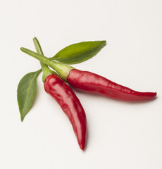 Spicy peppers