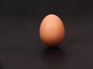 standing alone egg
