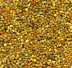 background: bee gathered pollen granules