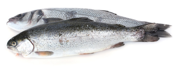 Fresh fishes isolated on white