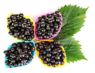 Fresh black currant in silicone molds isolated on white