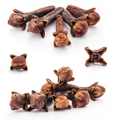 Carnation (spices) isolated on white background