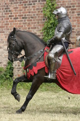 Knight on horse