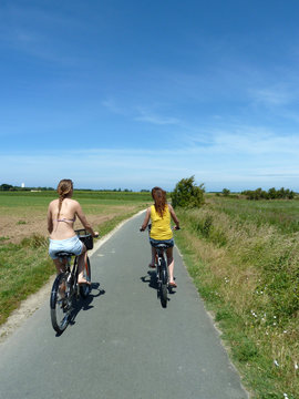 V&eacute;lo sur l'&icirc;le de R&eacute;, France