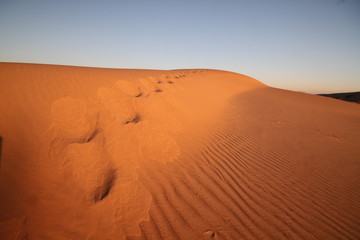beautiful desert