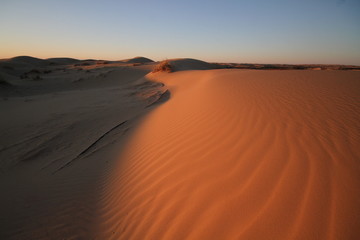 Obraz na płótnie Canvas Piasek pustyni