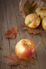 äpfel im körbchen