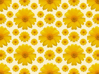 Yellow flower repeat background