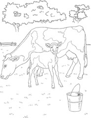 Fototapeta na wymiar kolorowanka krowa i cielę