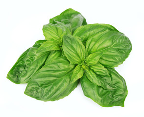 Fresh basil leaves