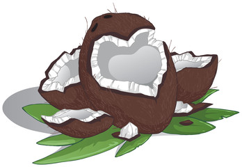 Coconut with leaves on a white background Vector illustration