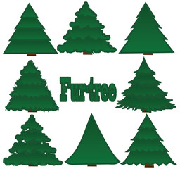 Obraz na płótnie Canvas Green fir-trees on a white background
