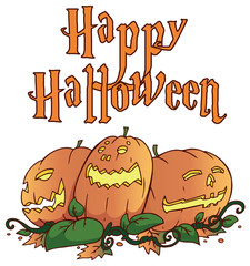 Pumpkin on the white background.