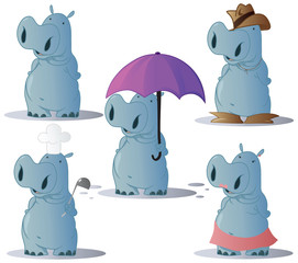 Hippopotamus 