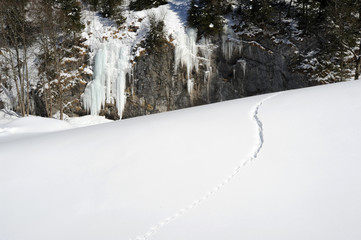 Traccie nella neve ad Engelberg nelle alpi svizzere