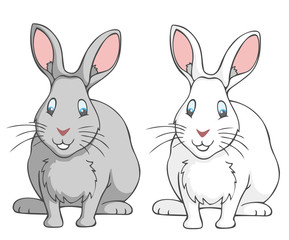 Rabbits
