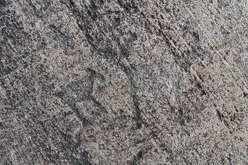 Rock paintings (petroglyphs) of Zalavruga. Two deers
