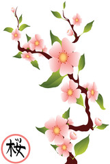 sakura branches with the hieroglyph "sakura"