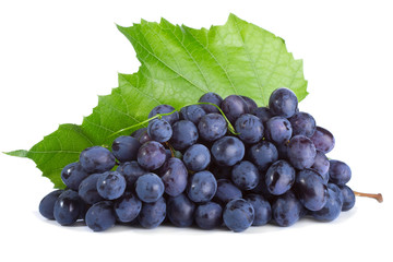 blue grape with leaf