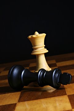 Schach, das k&ouml;nigliche Spiel